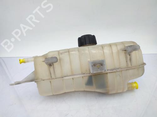 Expansion tank RENAULT CLIO III (BR0/1, CR0/1) 1.5 dCi (C/BR0G, C/BR1G) | BP23710254C120 