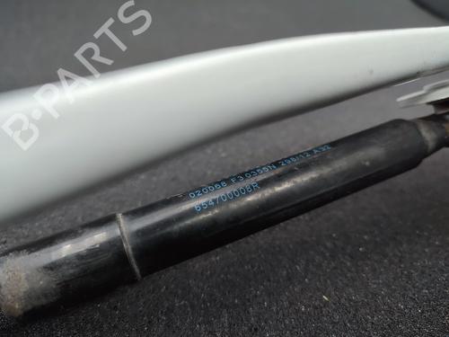 Used Hinge/Door check strap RENAULT SCÉNIC III (JZ0/1_) 1.5 dCi (110 hp) 23722785