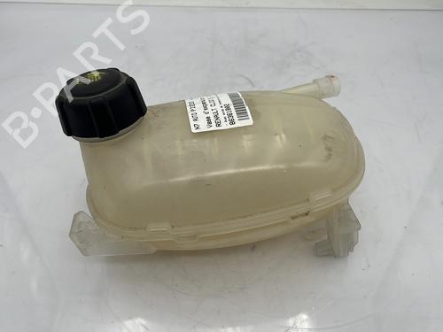 Used Expansion tank RENAULT CLIO V (B7_) 1.0 TCe 100 (B7MT) (101 hp) 23753002