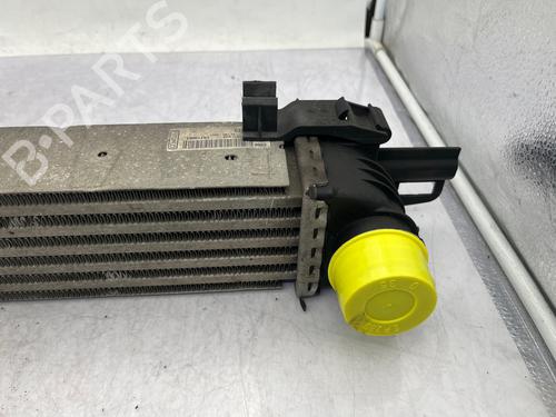 Intercooler PEUGEOT BIPPER (AA_) 1.4 HDi | BP35890501M30 - Image 10