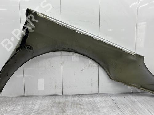 Left front fenders PEUGEOT 407 (6D_) 1.6 HDi 110 (6D9HZC, 6D9HYC) | BP29142657C41 