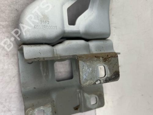 hingedoor-check-strap-dacia-sandero-iii-2021-37743930 main image