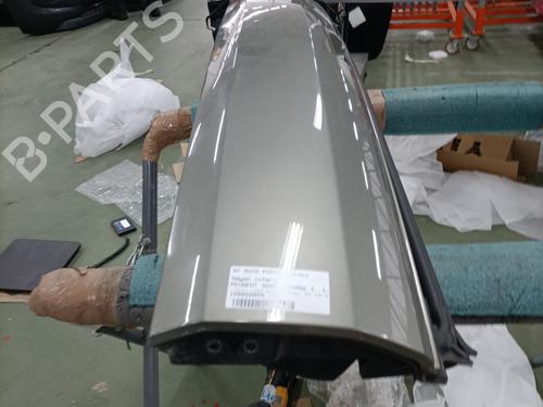 Tailgate PEUGEOT 3008 I MPV (0U_) 1.6 HDi | BP31942725C6
