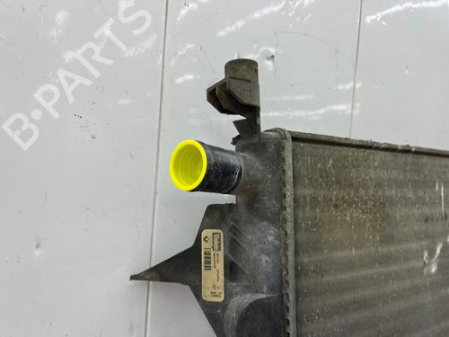 Used Water radiator Water radiator RENAULT TWINGO I (C06_) 1.2 (C066, C068) (58 hp) 33984269 33984269