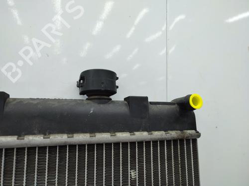 Used Heater matrix Heater matrix PEUGEOT 407 (6D_) 1.6 HDi 110 (6D9HZC, 6D9HYC) (109 hp) 23712872 23712872