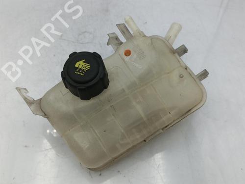 Expansion tank RENAULT SCÉNIC III (JZ0/1_) 1.9 dCi (JZ0J, JZ1J, JZ1K, JZ1S) | BP23712337C120