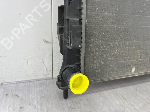 Used Water radiator Water radiator RENAULT TWINGO II (CN0_) 1.2 16V (CN04, CN0B) (75 hp) 34000368 34000368