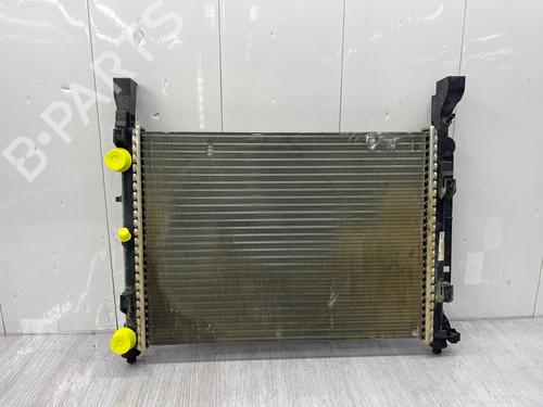 Water radiator RENAULT KANGOO Express (FW0/1_) | BP38425924M31 - Image 9