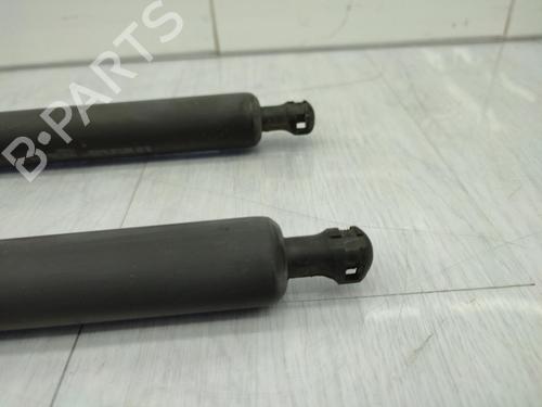 tailgate-lift-support-peugeot-partner-tepee-2008-23676166 main image