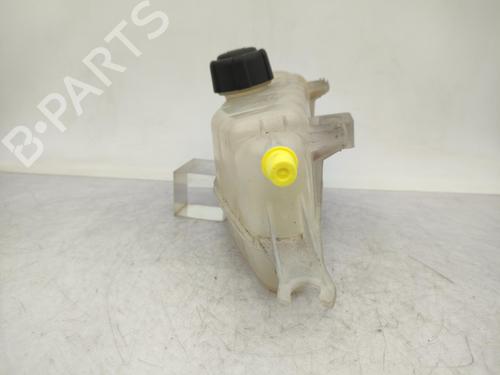 Expansion tank RENAULT CLIO III (BR0/1, CR0/1) 1.5 dCi (C/BR0G, C/BR1G) | BP23711556C120 
