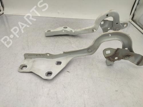 Hinge/Door check strap RENAULT SCÉNIC IV (J9_) 1.6 dCi 130 | BP26393123C146 