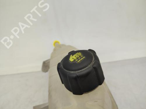Expansion tank RENAULT CLIO III (BR0/1, CR0/1) 1.5 dCi (C/BR0G, C/BR1G) | BP23711556C120 