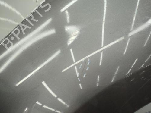 Left front fenders RENAULT SCÉNIC III (JZ0/1_) 1.9 dCi (JZ0J, JZ1J, JZ1K, JZ1S) | BP23706883C41 