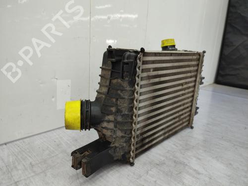 Intercooler DACIA DUSTER (HS_) 1.2 TCe 125 | BP23723125M30 - Image 4
