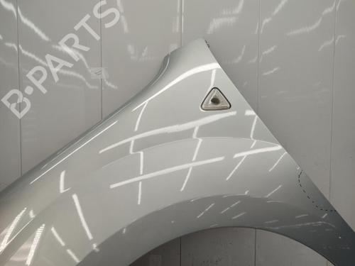 Used Left front fenders RENAULT KANGOO / GRAND KANGOO II (KW0/1_) 1.5 dCi 90 (KW05, KW08, KW0G, KW11) (90 hp) 23721199