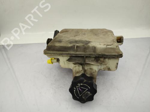 Used Expansion tank PEUGEOT 206 Hatchback (2A/C) 2.0 HDI 90 (90 hp) 23677683