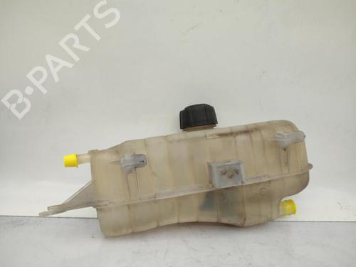 Used Expansion tank RENAULT CLIO III (BR0/1, CR0/1) 1.5 dCi (BR17, CR17) (86 hp) 23710709