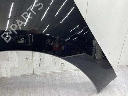 Left front fenders RENAULT SCÉNIC III (JZ0/1_) 1.6 dCi (JZ00, JZ12) | BP32373388C41