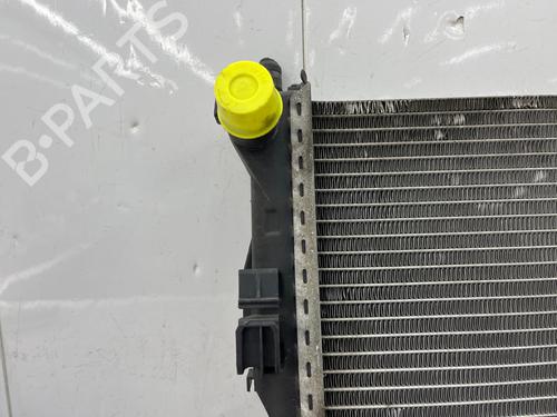 Water radiator RENAULT ESPACE IV (JK0/1_) 1.9 dCi (JK0U) | BP35890497M31 - Image 10