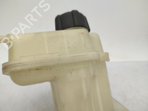 Expansion tank NISSAN QASHQAI I (J10, NJ10) 1.5 dCi | BP23710894C120