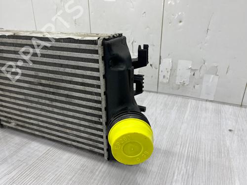 Intercooler RENAULT KADJAR (HA_, HL_) 1.5 dCi 110 (HLA3) | BP37717317M30  - Image 6