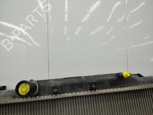 Water radiator SUZUKI SX4 (EY, GY) 1.9 DDiS 4x4 (RW419D) | BP23730043M31 - Image 2
