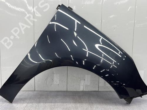 Used Right front fenders RENAULT SCÉNIC III (JZ0/1_) 1.9 dCi (JZ0J, JZ1J, JZ1K, JZ1S) (131 hp) 25249467