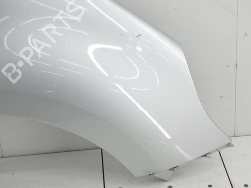 Right front fenders RENAULT SCÉNIC III (JZ0/1_) 1.9 dCi (JZ0J, JZ1J, JZ1K, JZ1S) | BP23693849C42 