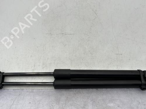 tailgate-lift-support-dacia-spring-2020-23758126 main image