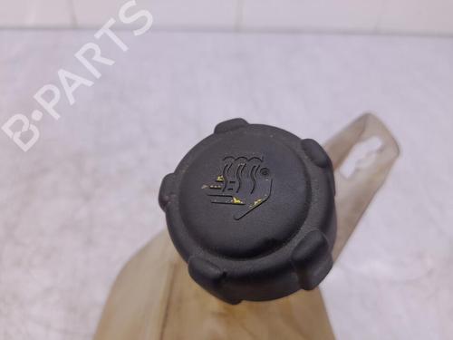 Expansion tank RENAULT MEGANE II (BM0/1_, CM0/1_) 1.9 dCi (BM0G, CM0G) | BP23711480C120 