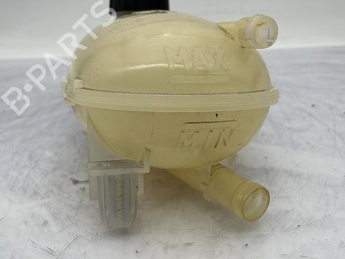 Expansion tank DACIA SANDERO III 1.0 TCe 100 ECO-G | BP23761439C120