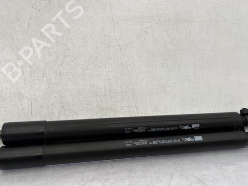 Tailgate lift support PEUGEOT 208 I (CA_, CC_) 1.6 HDi / BlueHDi 75 | BP26962137C138