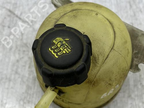 Expansion tank RENAULT KANGOO (KC0/1_) 1.5 dCi (KC07) | BP23675098C120