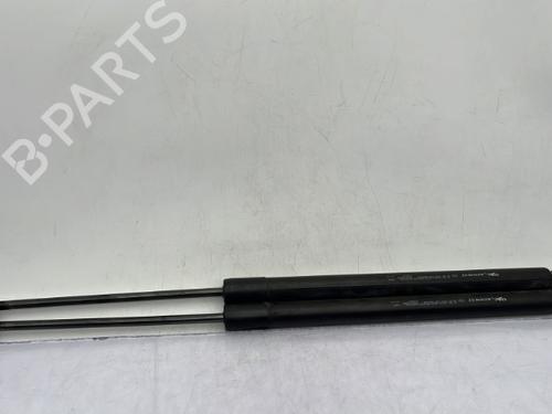 Used Tailgate lift support RENAULT SCÉNIC III (JZ0/1_) 1.5 dCi (106 hp) 23754293