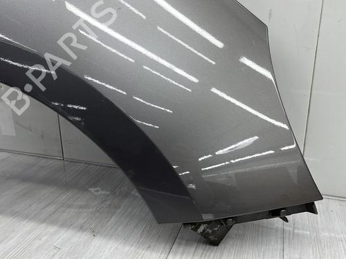 Right front fenders RENAULT SCÉNIC III (JZ0/1_) 1.5 dCi | BP27884117C42 