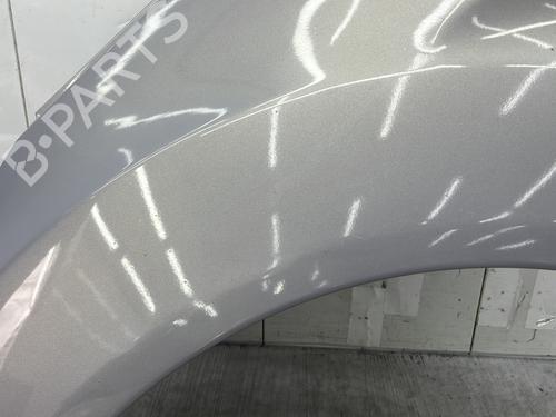Left front fenders FORD FIESTA VI (CB1, CCN) 1.25 | BP27304224C41 