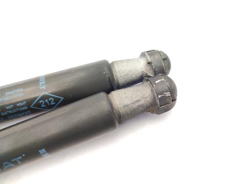 Hood lift support RENAULT SCÉNIC III (JZ0/1_) 1.5 dCi | BP23757762C139 