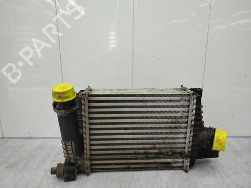 Intercooler DACIA DUSTER (HS_) 1.2 TCe 125 | BP23723125M30 - Image 8