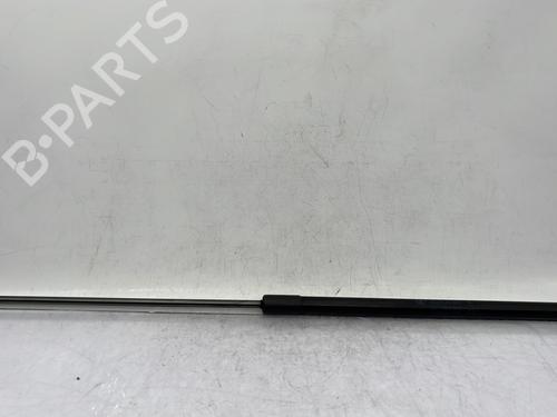 Used Hood lift support RENAULT MEGANE III Hatchback (BZ0/1_, B3_) 1.5 dCi (BZ09, BZ0D, BZ1W, BZ29, BZ14) (110 hp) 23683333
