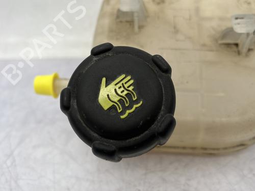 expansion-tank-renault-twingo-ii-cn0_-2007-30974217 main image