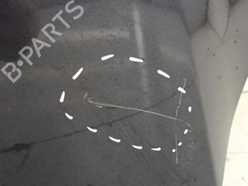 Hood FORD FOCUS II Turnier (DA_, FFS, DS) 1.8 TDCi | BP23694363C1 