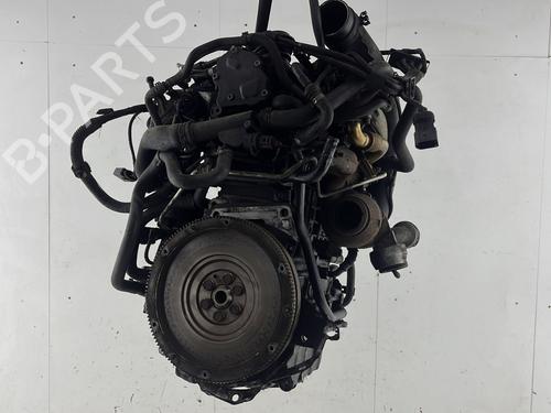 Engine VW TOURAN (1T1, 1T2) 1.9 TDI | BP23663124M1 
