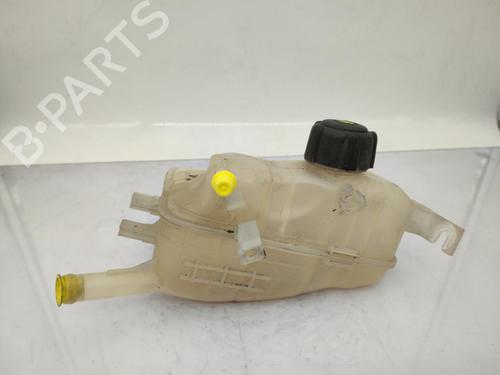 Expansion tank RENAULT MEGANE III Grandtour (KZ0/1) 1.5 dCi (KZ0C, KZ1A) | BP23719361C120 