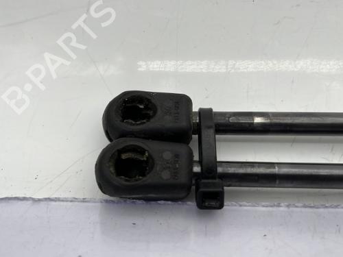 Tailgate lift support CITROËN C3 I (FC_, FN_) 1.4 HDi | BP23756202C138 