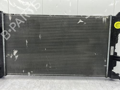 Køler RENAULT MEGANE III Grandtour (KZ0/1) 1.5 dCi (KZ09, KZ0D, KZ1G, KZ29, KZ14, KZ1W, KZ10, KZ1F,... (110 hp) 30902428