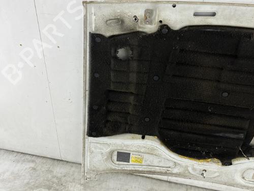 Hood RENAULT RAPID Box Body/MPV (F40_, G40_) 1.6 D (F404) | BP23758244C1