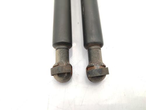 Tailgate lift support NISSAN X-TRAIL I (T30) 2.2 Di 4x4 | BP23721515C138 