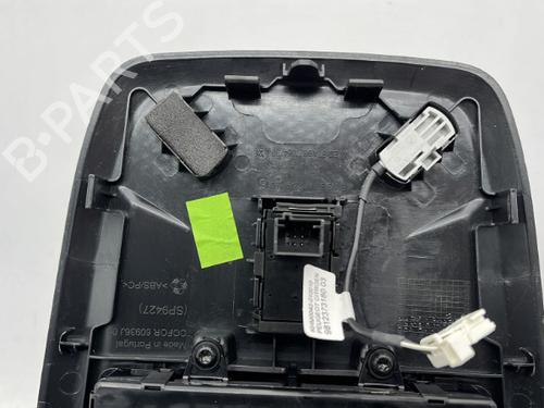 Interior roof light PEUGEOT 2008 II (UD_, US_, UY_, UJ_, UR_, UC_) 1.5 BlueHDI 130 | BP23754541I8
