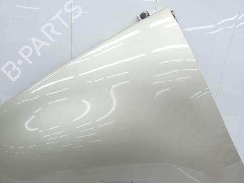 Left front fenders RENAULT SCÉNIC III (JZ0/1_) 1.9 dCi (JZ0J, JZ1J, JZ1K, JZ1S) | BP23697513C41 