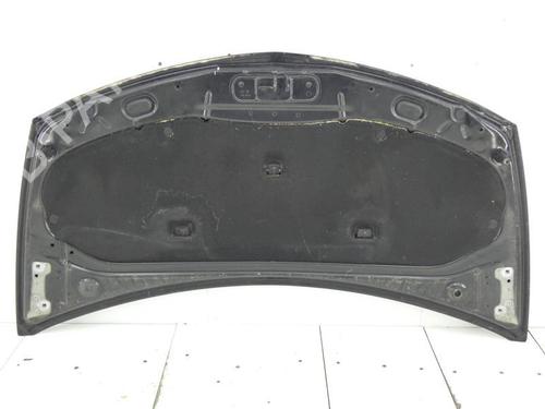 Hood RENAULT CLIO III (BR0/1, CR0/1) 1.5 dCi (C/BR0G, C/BR1G) | BP23701933C1 